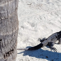 фото из отзыва ID 2260466