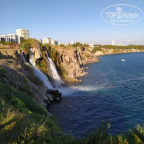 фото из отзыва ID 2260487