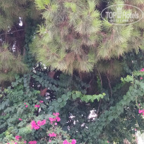 фото из отзыва ID 2260487