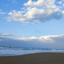 фото из отзыва ID 2260592