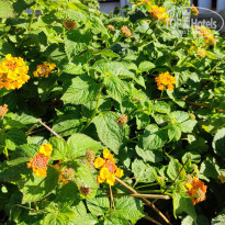 фото из отзыва ID 2260592