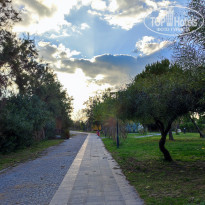 фото из отзыва ID 2260592