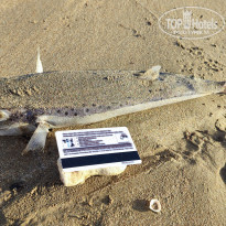 фото из отзыва ID 2260592