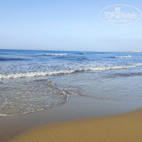 фото из отзыва ID 2260592