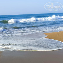 фото из отзыва ID 2260592