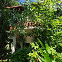 фото из отзыва ID 2260715