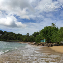 фото из отзыва ID 2260715