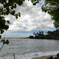 фото из отзыва ID 2260715