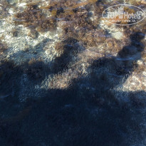 фото из отзыва ID 2260724