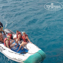 фото из отзыва ID 2260724