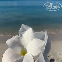 фото из отзыва ID 2260779