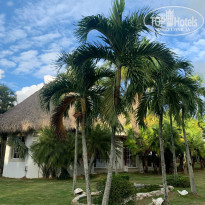 фото из отзыва ID 2260779