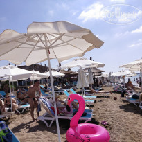 фото из отзыва ID 2260793