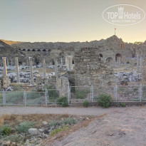 фото из отзыва ID 2260793