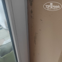 фото из отзыва ID 2260909