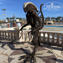 фото из отзыва ID 2261094