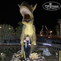 фото из отзыва ID 2261094