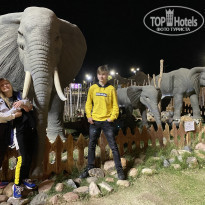 фото из отзыва ID 2261094