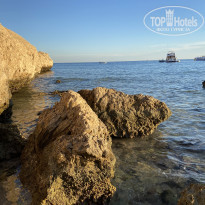 фото из отзыва ID 2261094