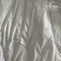 фото из отзыва ID 2261134