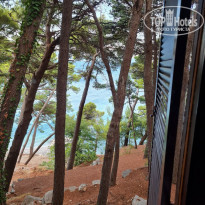 фото из отзыва ID 2261205