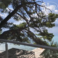 фото из отзыва ID 2261205