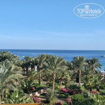 фото из отзыва ID 2261203