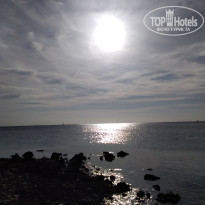 фото из отзыва ID 2261476