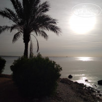 фото из отзыва ID 2261476