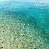 фото из отзыва ID 2261476