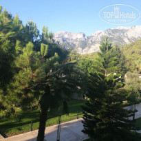 фото из отзыва ID 2261481