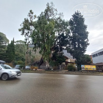 фото из отзыва ID 2261554