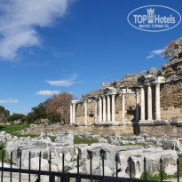 фото из отзыва ID 2261579