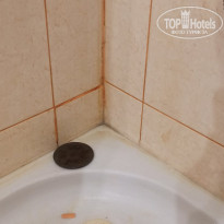 фото из отзыва ID 2261587