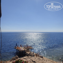 фото из отзыва ID 2261330