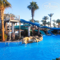 фото из отзыва ID 2261330