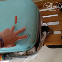 фото из отзыва ID 2261330