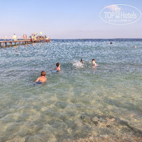 фото из отзыва ID 2261618