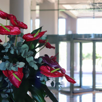 фото из отзыва ID 2261711