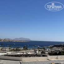 фото из отзыва ID 2261829