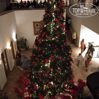 фото из отзыва ID 2261848