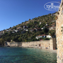 фото из отзыва ID 2261875