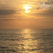 фото из отзыва ID 2261875