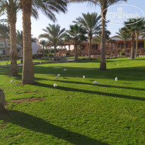 фото из отзыва ID 2261890