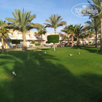 фото из отзыва ID 2261890