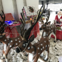 фото из отзыва ID 2261876