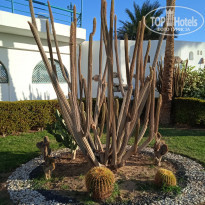 фото из отзыва ID 2262048