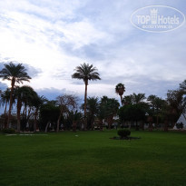 фото из отзыва ID 2262048