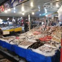 фото из отзыва ID 2262116