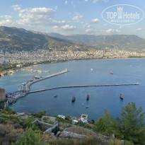 фото из отзыва ID 2262252